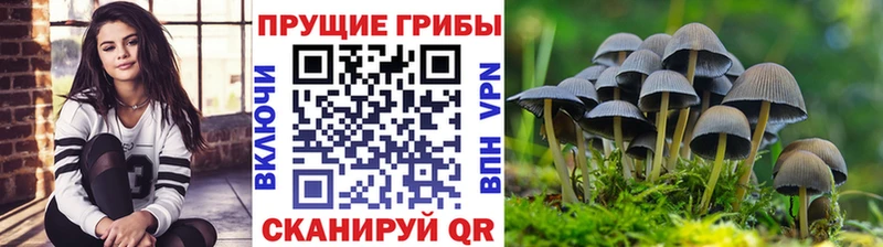 Псилоцибиновые грибы Psilocybine cubensis Надым