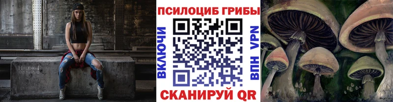 Псилоцибиновые грибы MAGIC MUSHROOMS  Купить закладки  Надым 